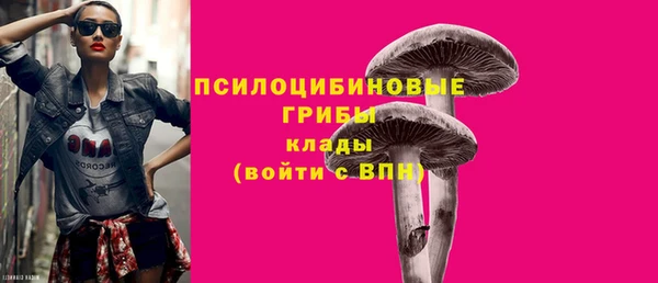 стафф Горнозаводск