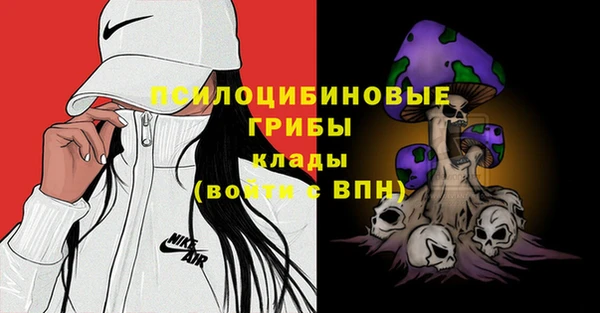 соль ск Горняк