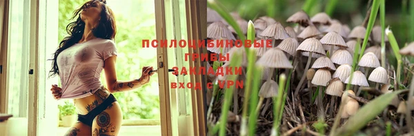 стафф Горнозаводск